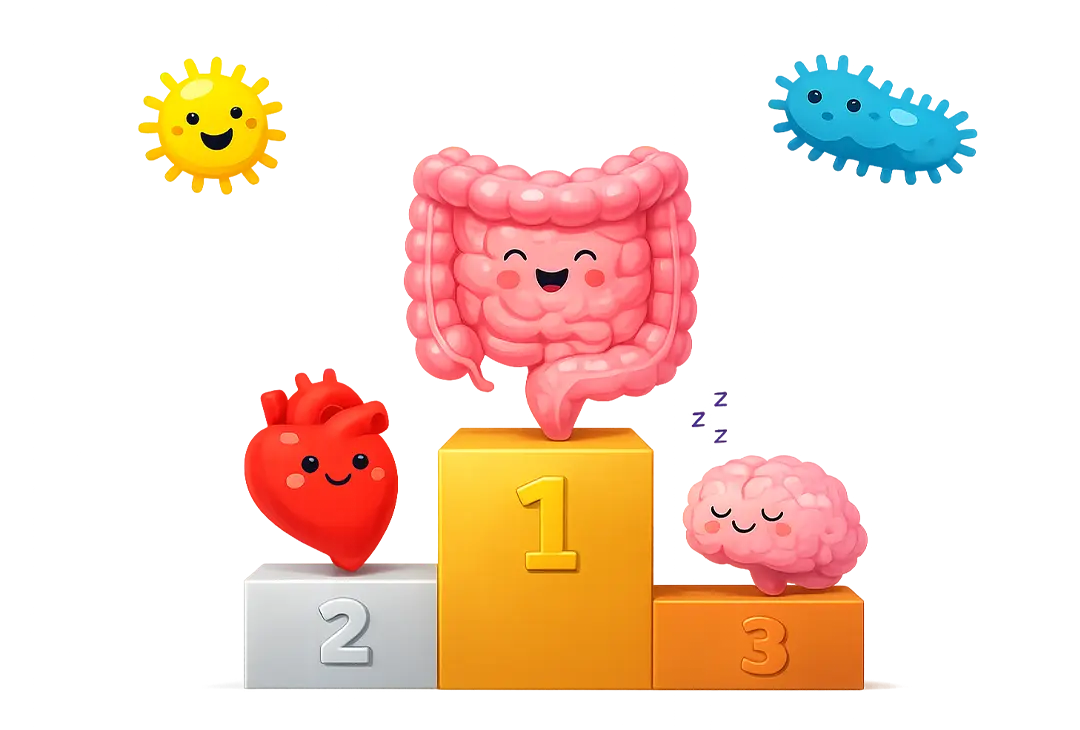 Happy cartoon intestines on first place podium, heart second, brain third, sun and bacteria nearby.